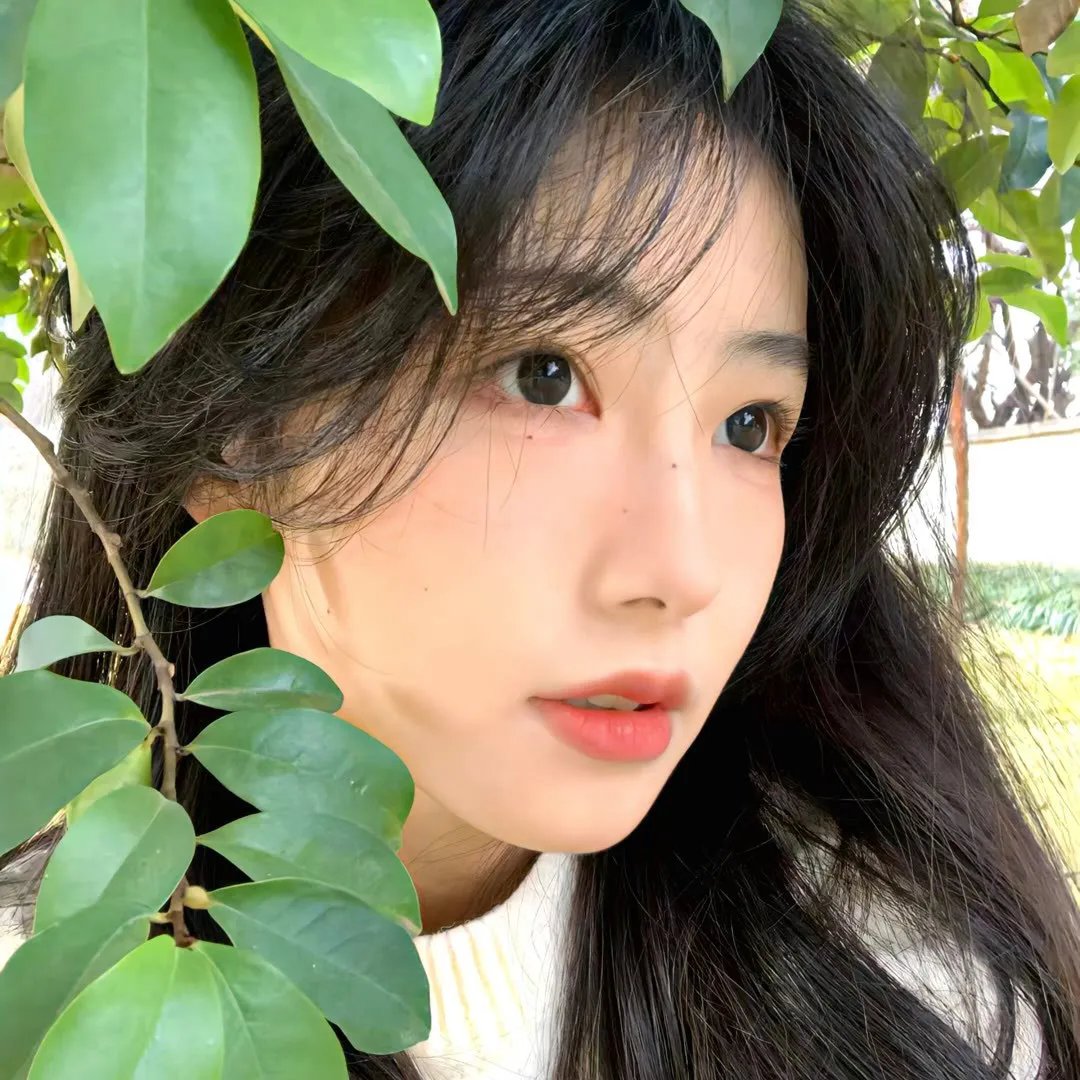 狼群之中