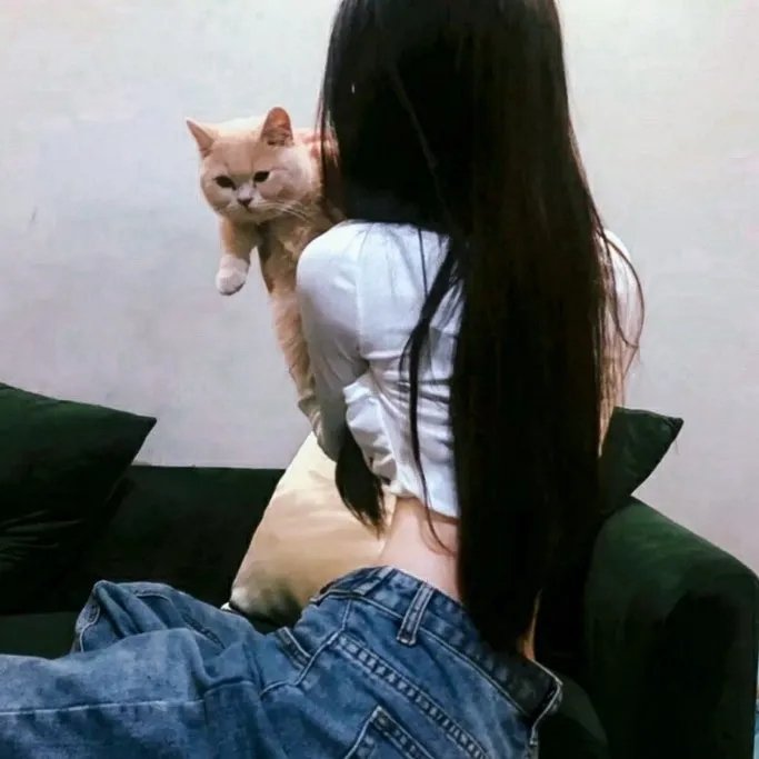 摇滚藏獒蓝色光芒