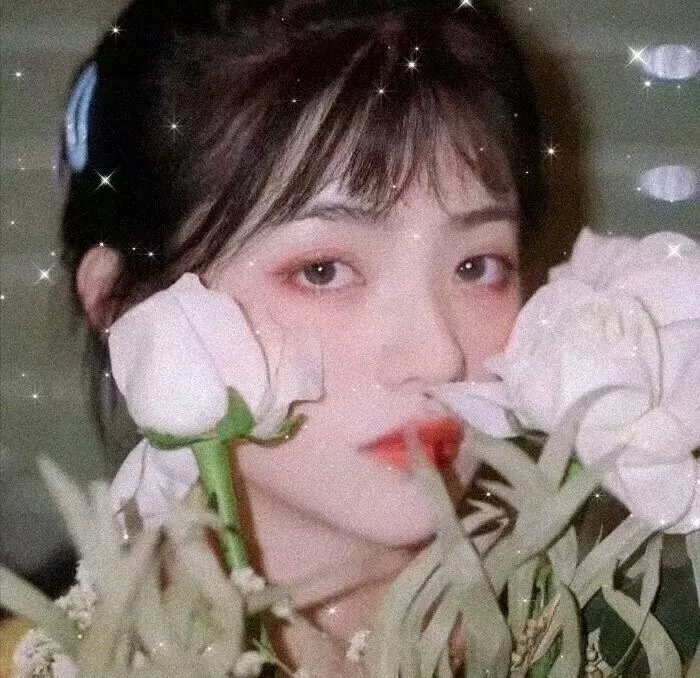 男生女相:华语电影之性别